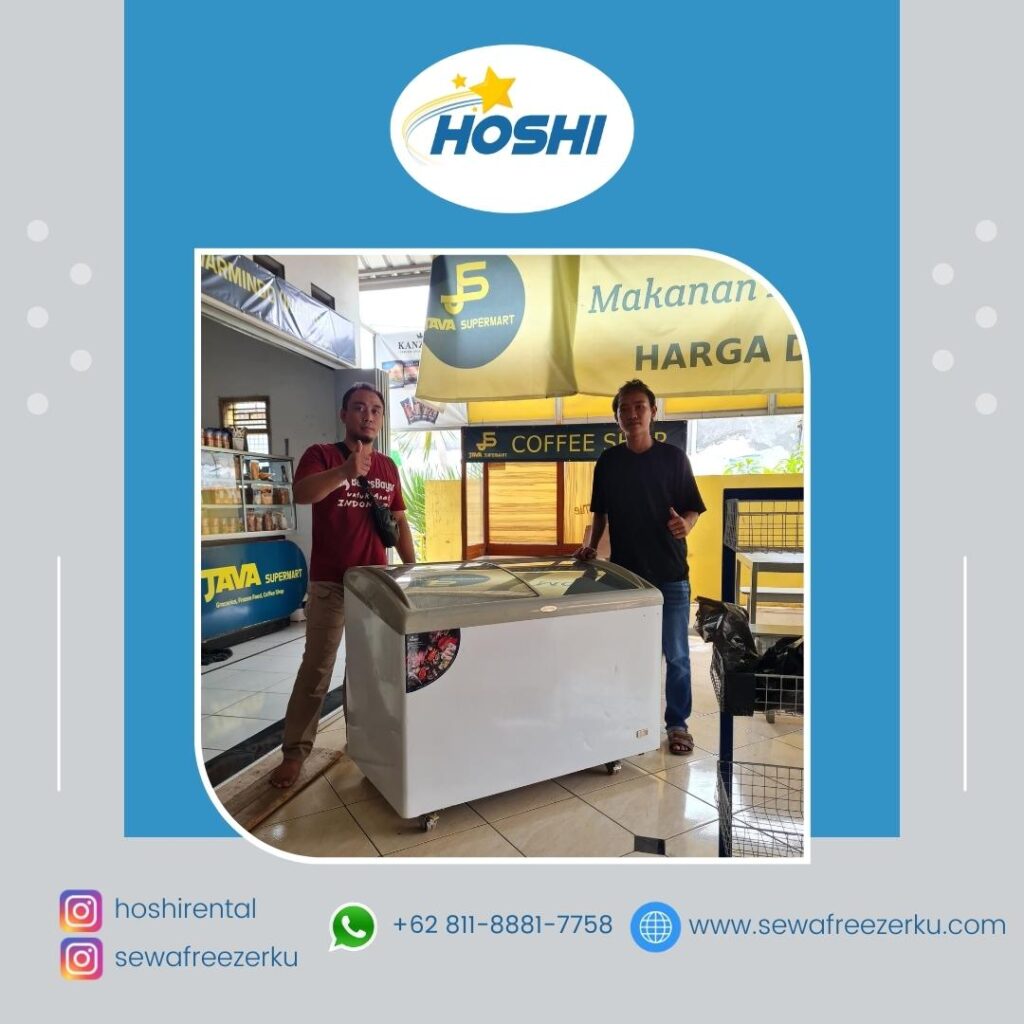 Sewa Freezer Frozen Food