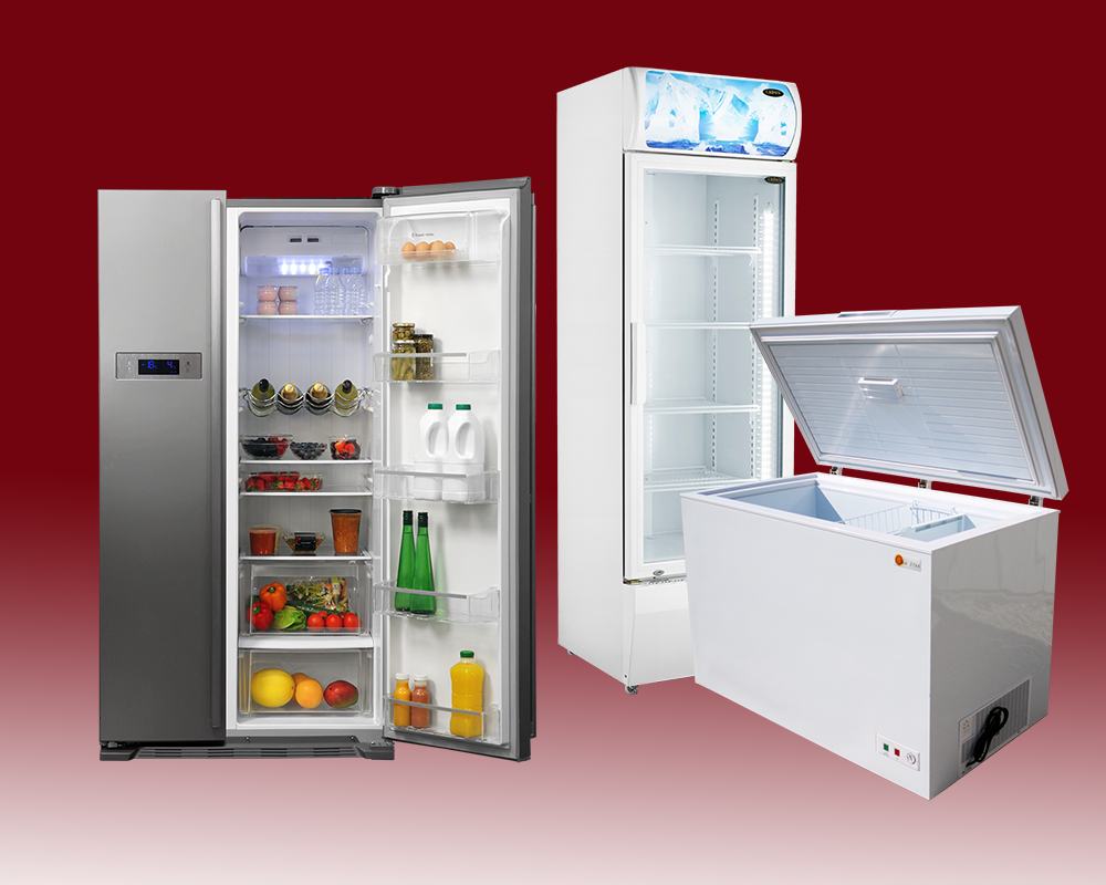 sewa freezer terbaik